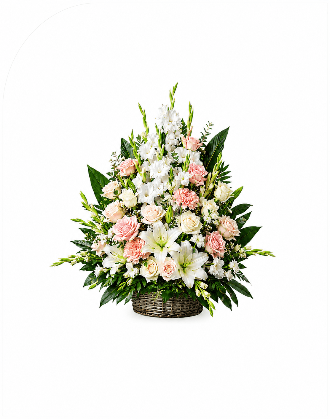 گل جعبه ای زیبا