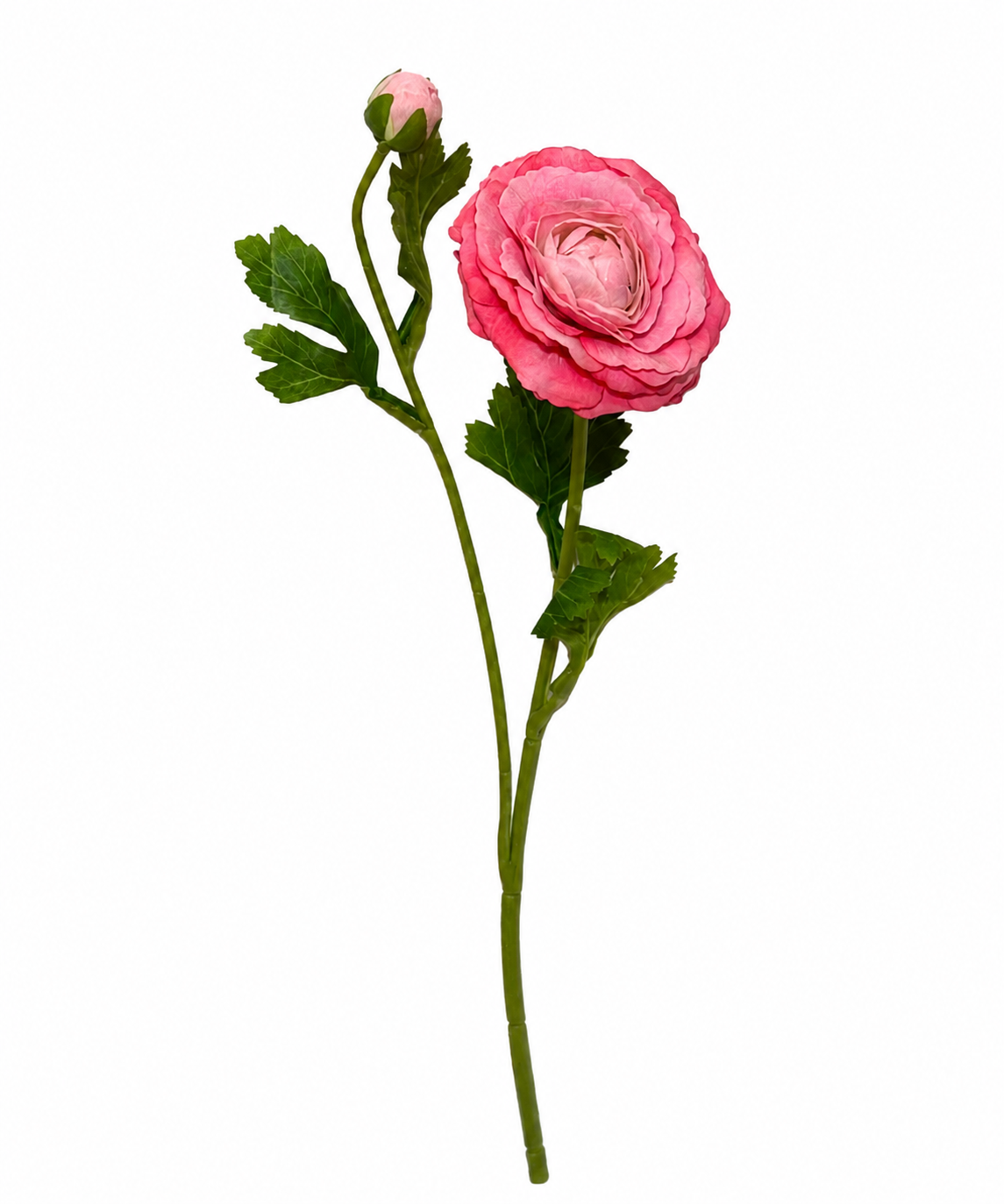 آناما لمسی
