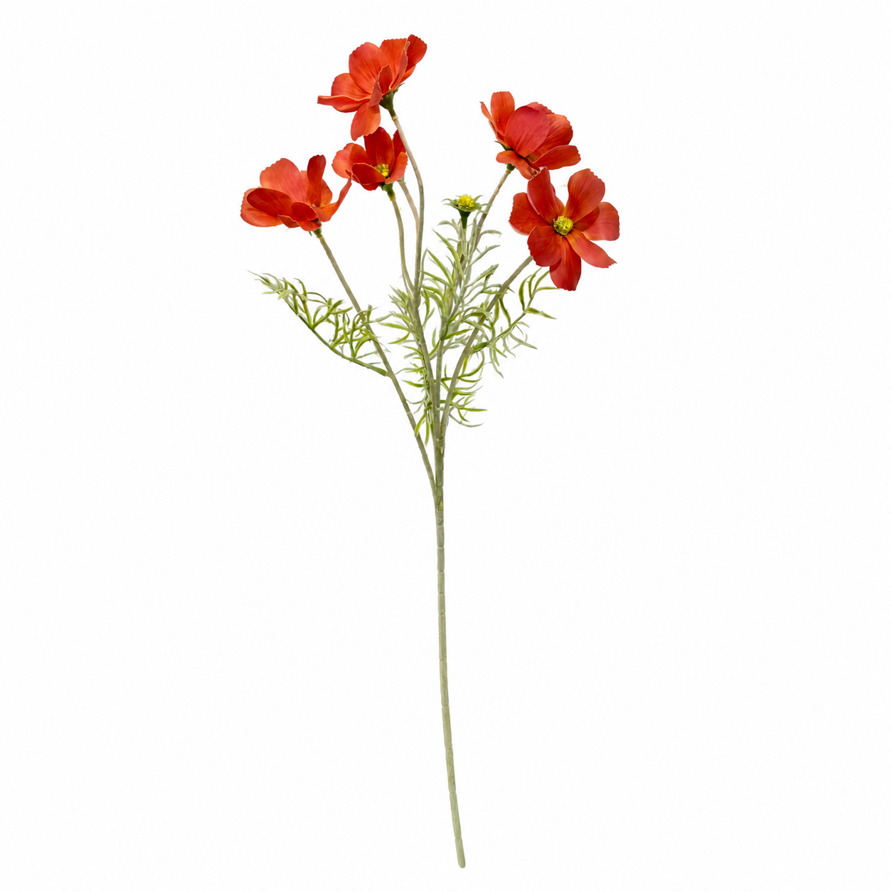 اشرفی ۳ رنگ